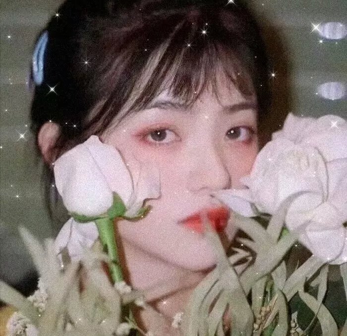 死𡃁妹杀手守则